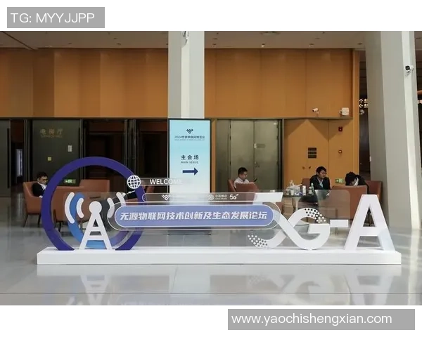 专访赵磊：揭秘足球背后的成功秘诀与未来发展方向