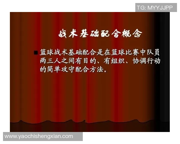 杭州排球队快攻战术解析与成败经验分享