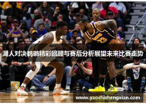 湖人对决鹈鹕精彩回顾与赛后分析展望未来比赛走势